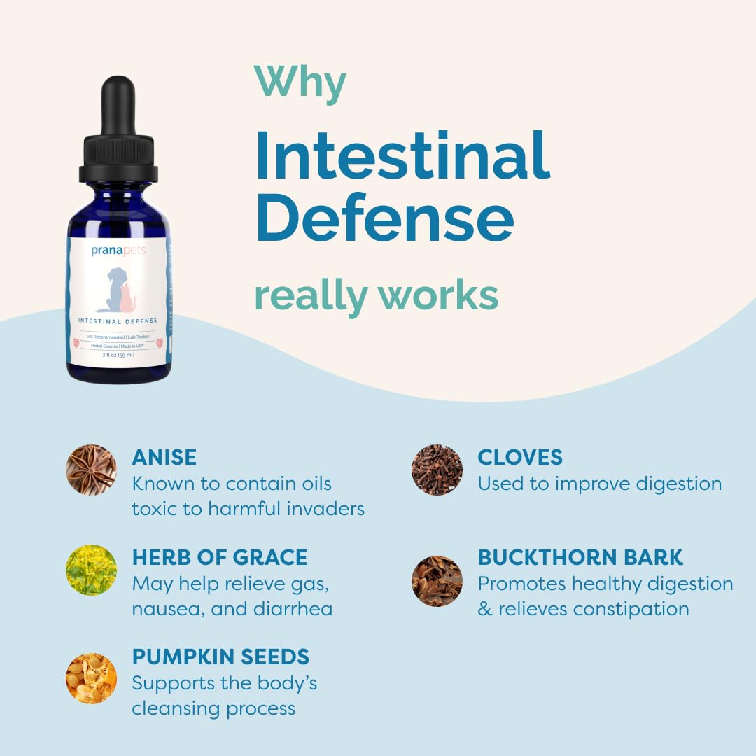 PranaPets Intestinal Defense administered to a cat to support digestion.