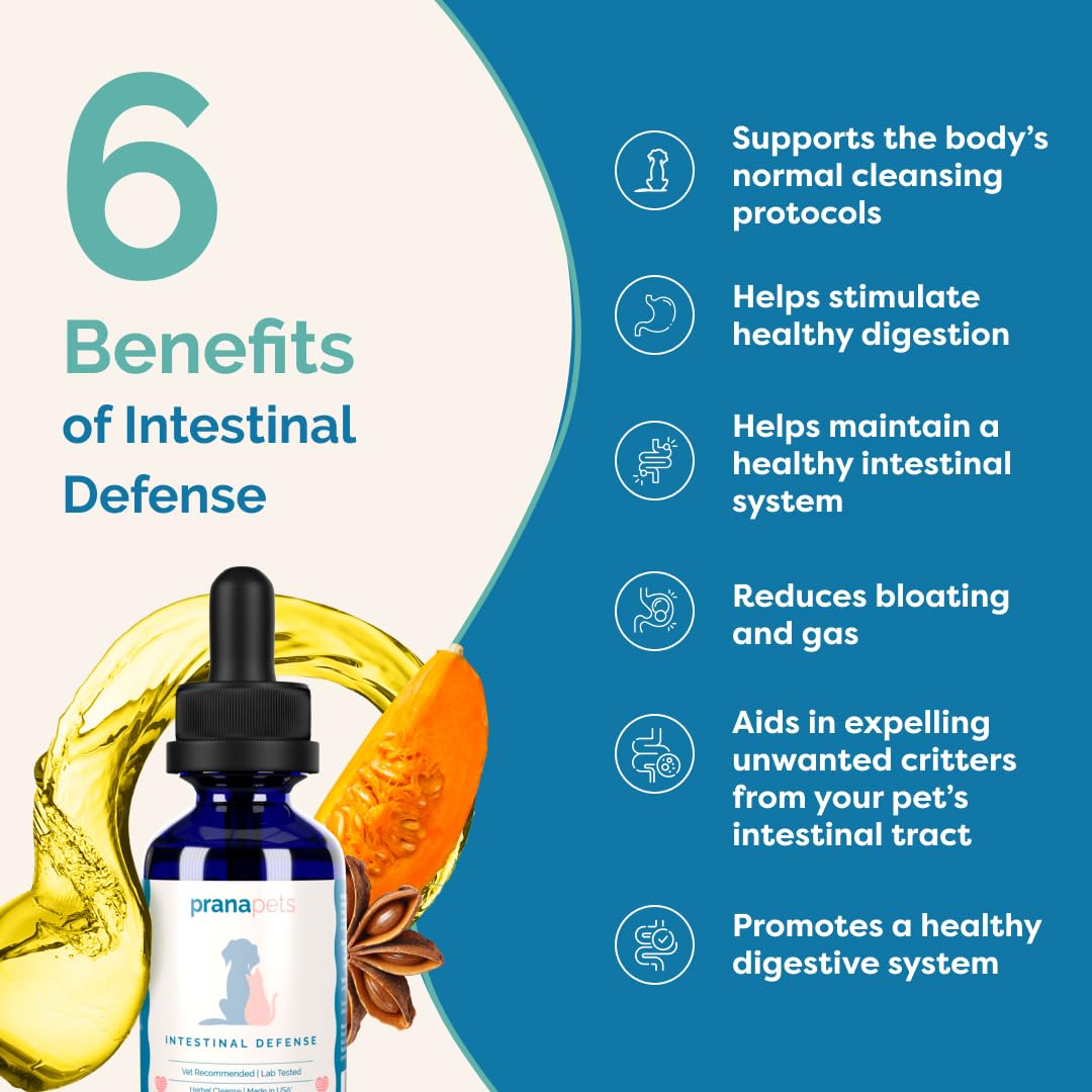 PranaPets Intestinal Defense added to dog food for easy daily use.