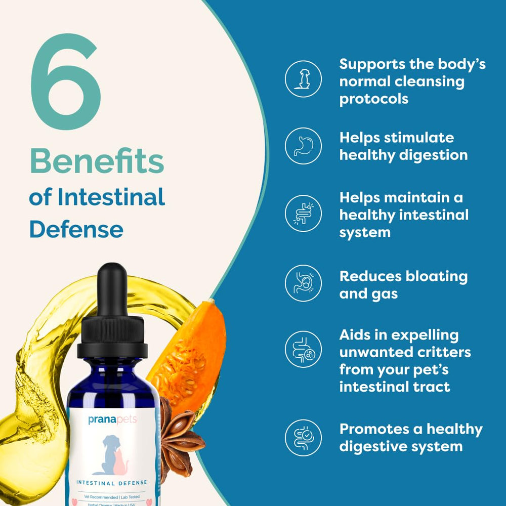 PranaPets Intestinal Defense added to dog food for easy daily use.