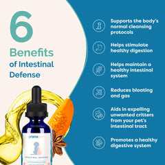 PranaPets Intestinal Defense added to dog food for easy daily use.