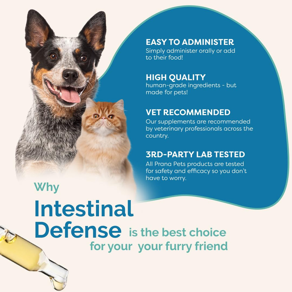 Herbal ingredients visible in PranaPets Intestinal Defense bottle.