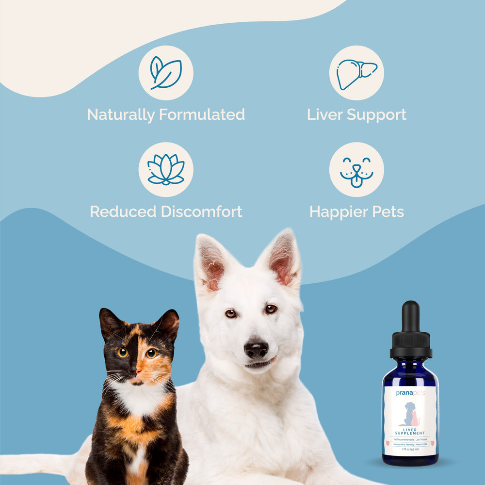 PranaPets liver supplement drops on a cat's dish for digestion support