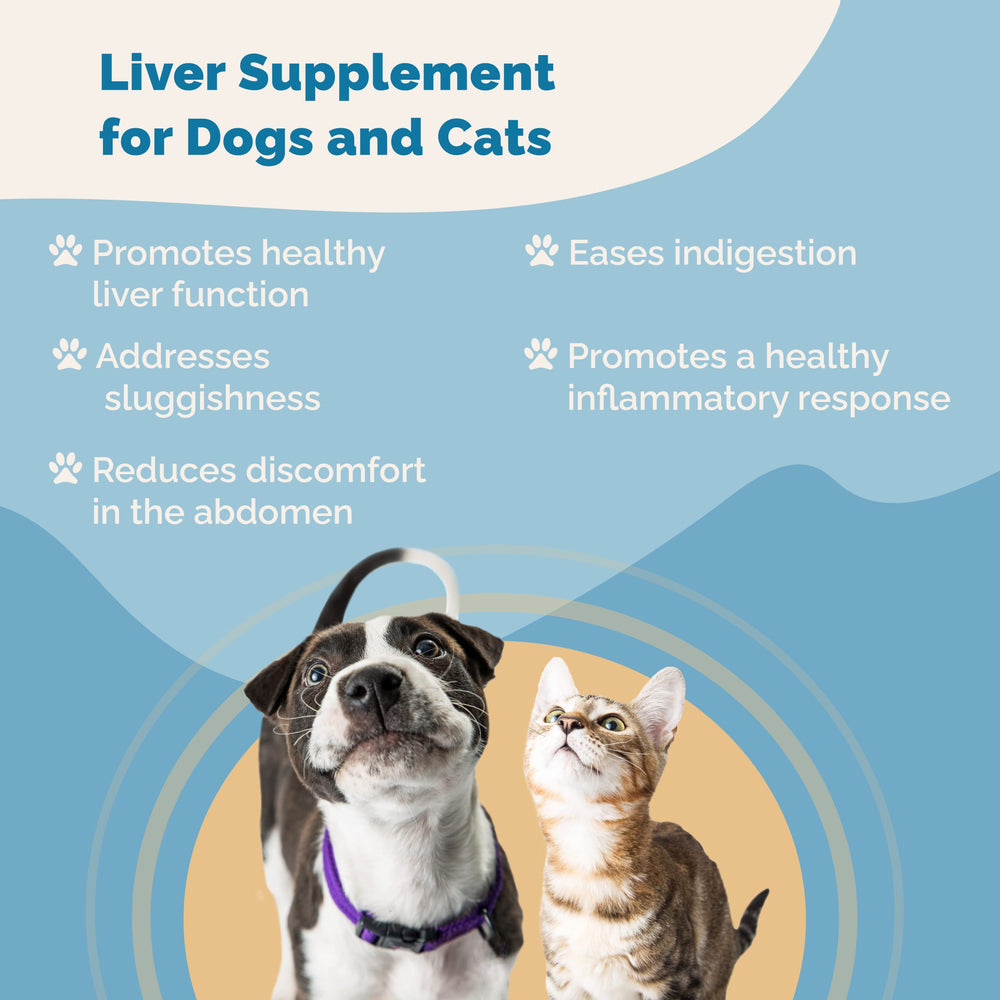 PranaPets liver supplement drops on a dog's food bowl during mealtime