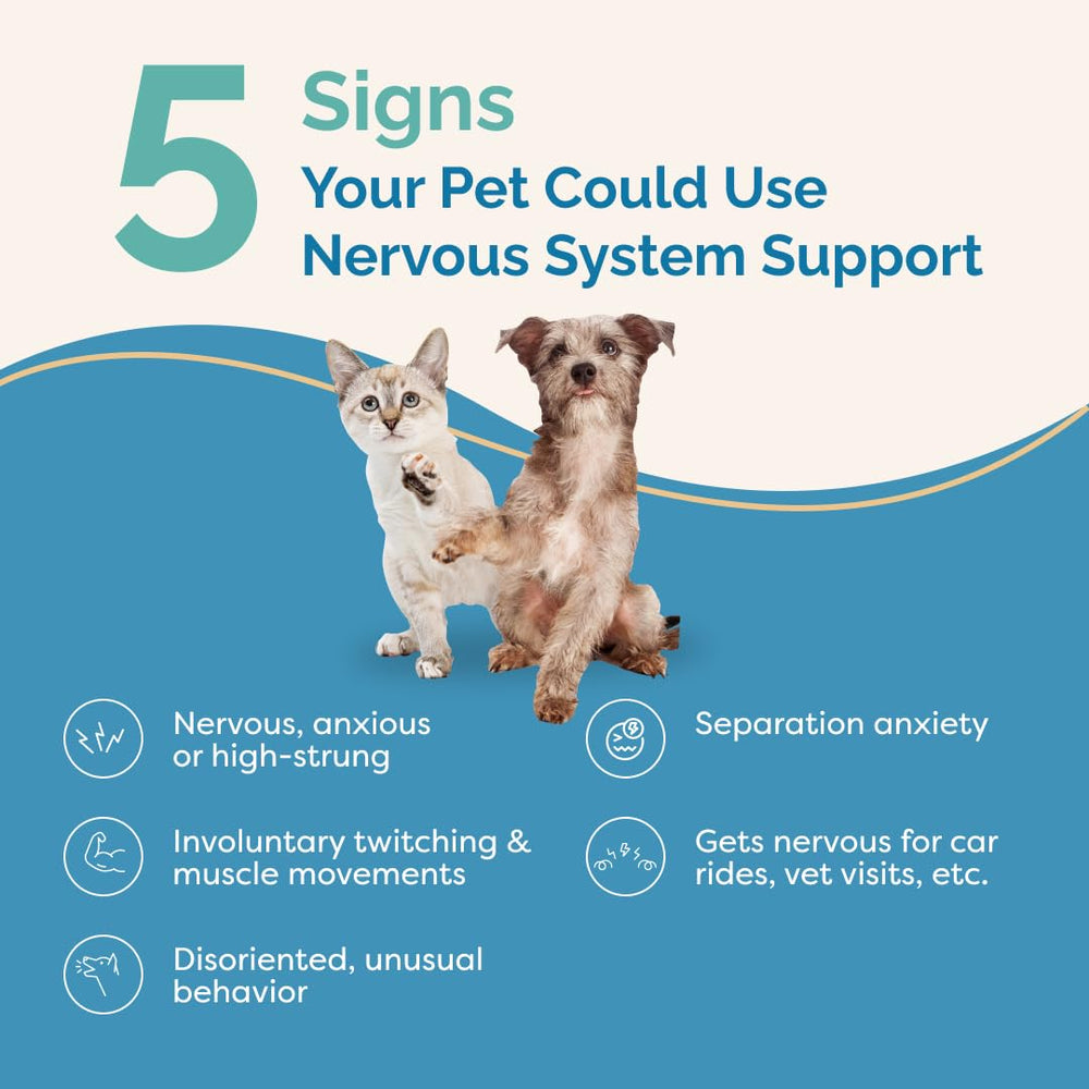 PranaPets Nervous System Support drops for dogs and cats provide gentle nervous system support at home.