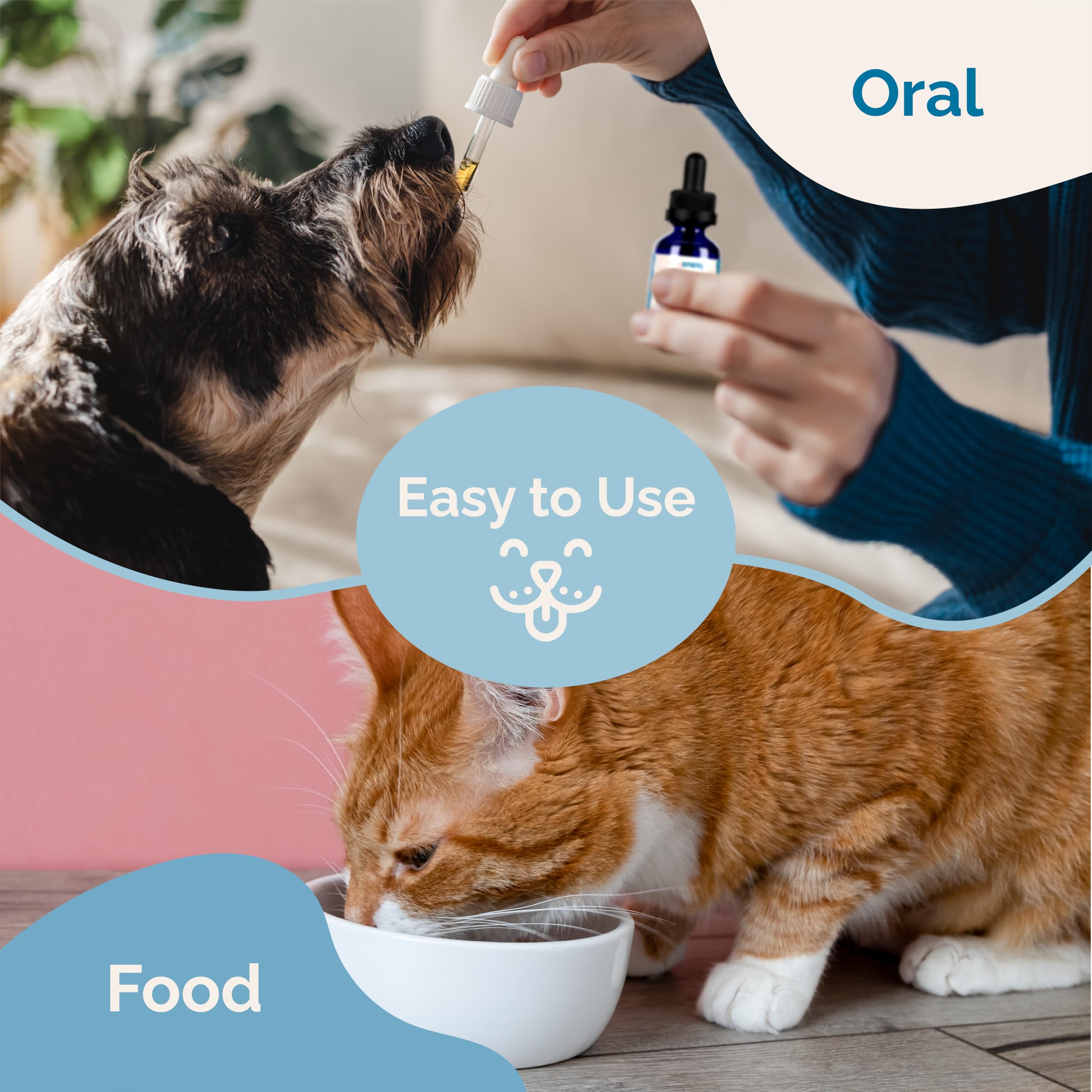 PranaPets Nervous System Support and a satisfied owner example—daily care routine.