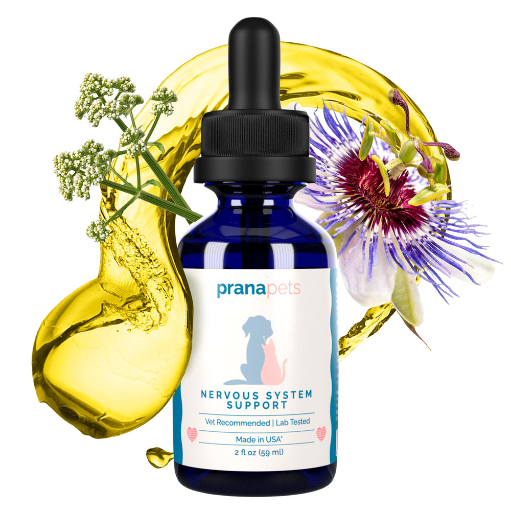 PranaPets Nervous System Support helps a pet appear more relaxed after dosing.