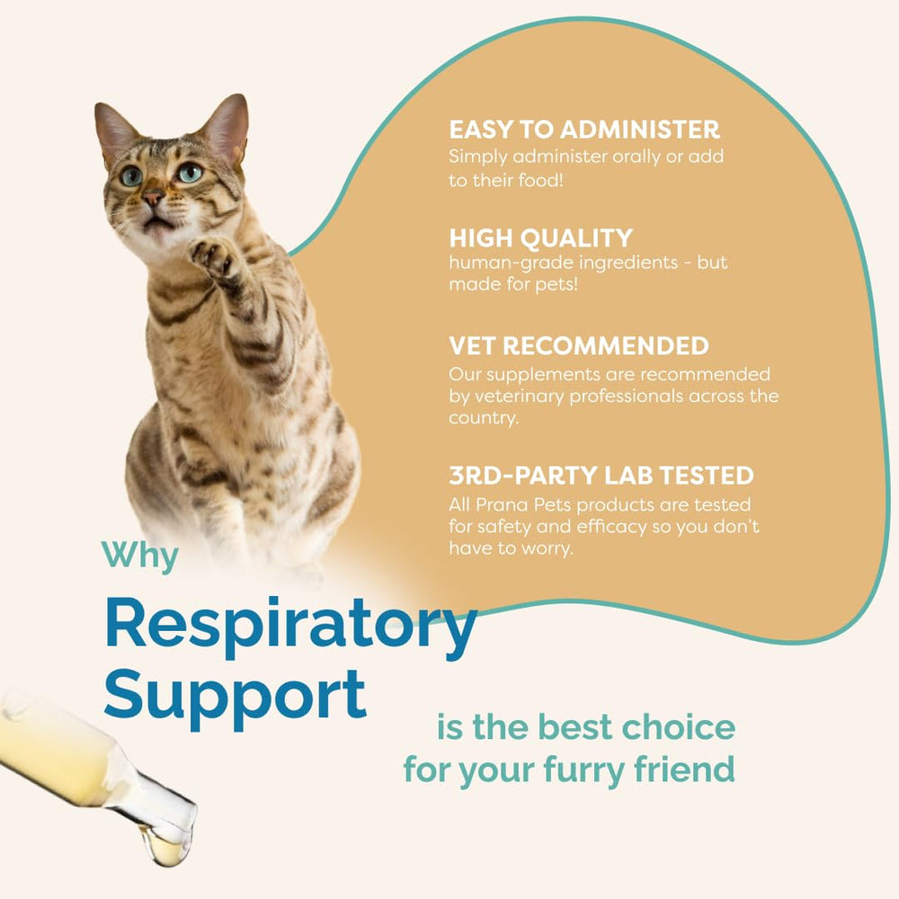 PranaPets Respiratory Support used with a dog at home to support breathing comfort