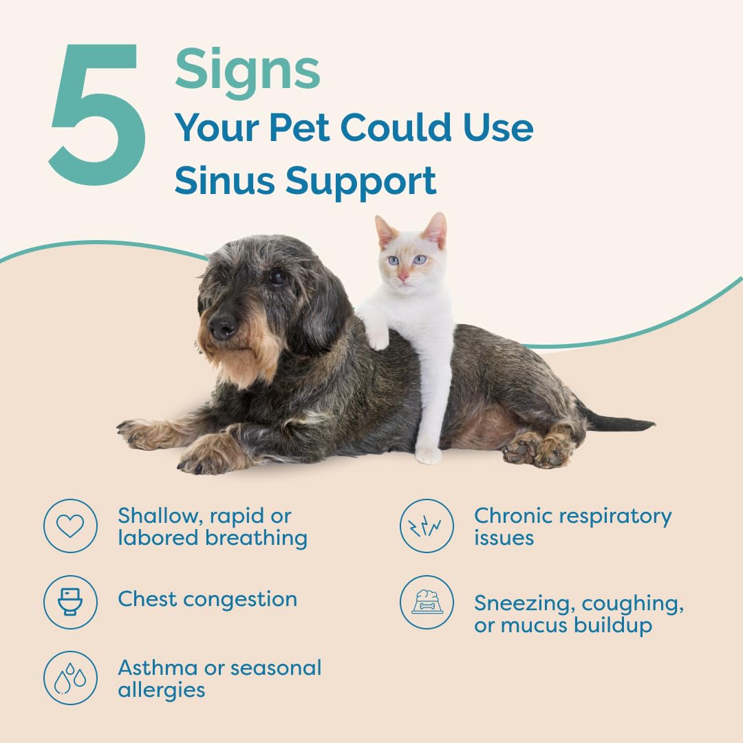PranaPets Sinus Support Liquid dog dose added to wet food for convenient daily use