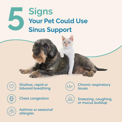 PranaPets Sinus Support Liquid dog dose added to wet food for convenient daily use