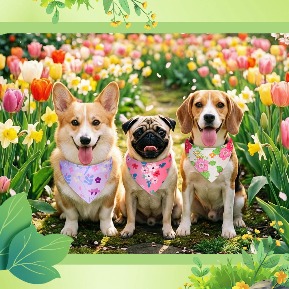 Preboun floral dog bandana in multicolor for playful pets