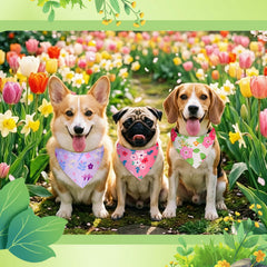 Preboun floral dog bandana in multicolor for playful pets