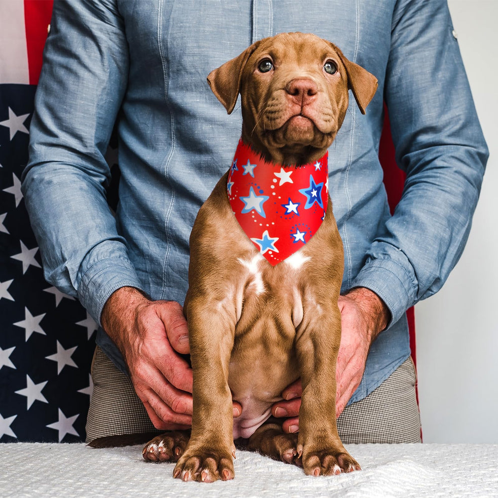 Preboun patriotic bandana used as a photo prop or party accessory