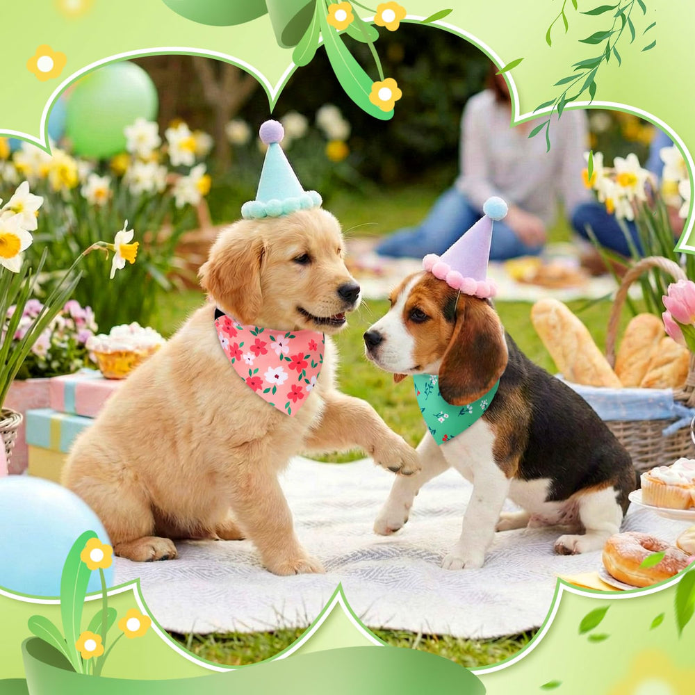 Preboun spring pet accessory ideal for gifts to groomers or friends
