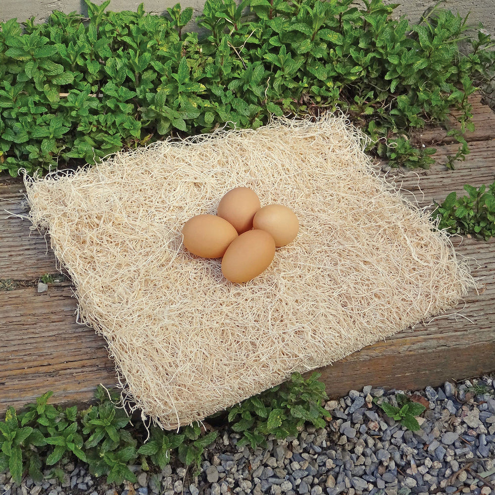 PRECISION PET nesting pad soft surface encourages hens to lay in one place