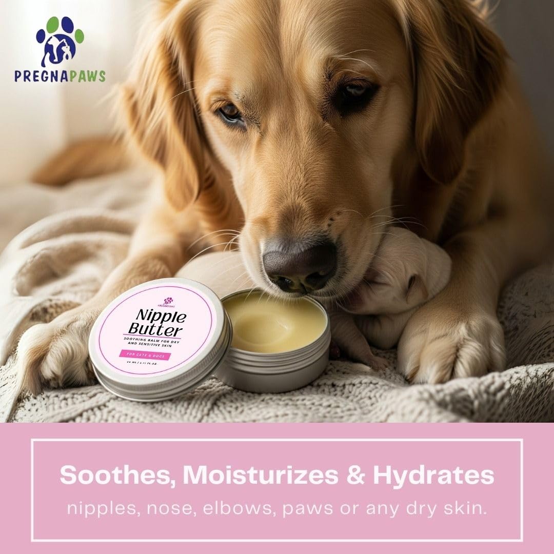 Coconut oil and shea butter nourish dry skin on pets.