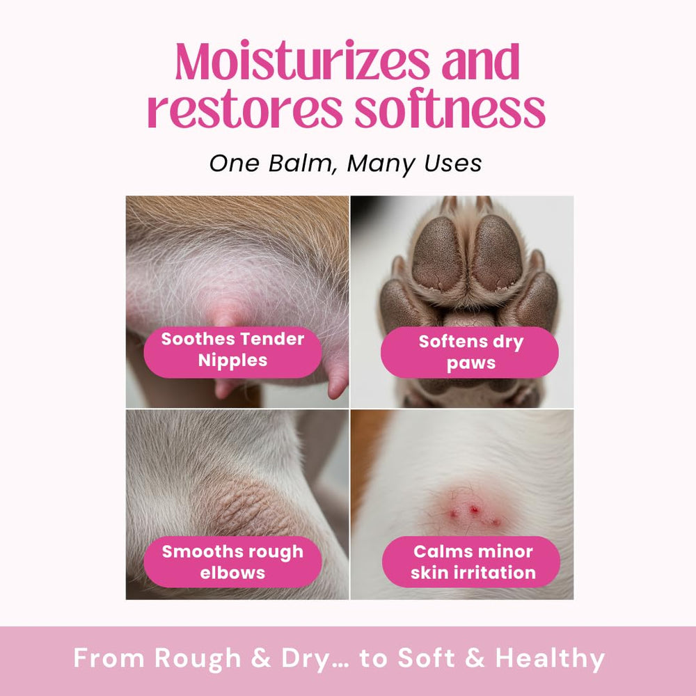 Paws and elbows receive moisture from this all natural balm.