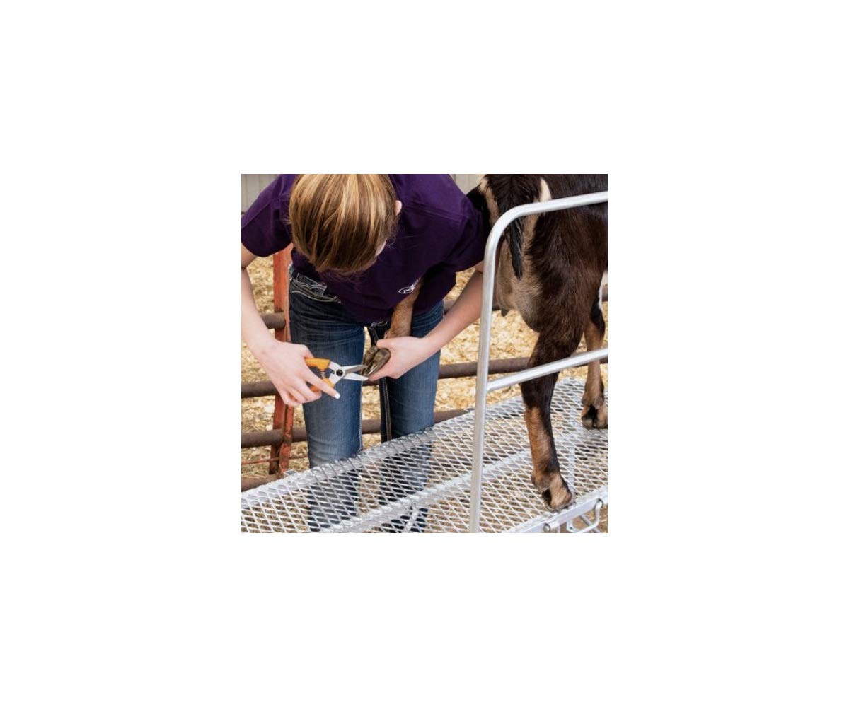 Premier 1 ExoTrim serrated blade grips hard hooves for steady cuts.