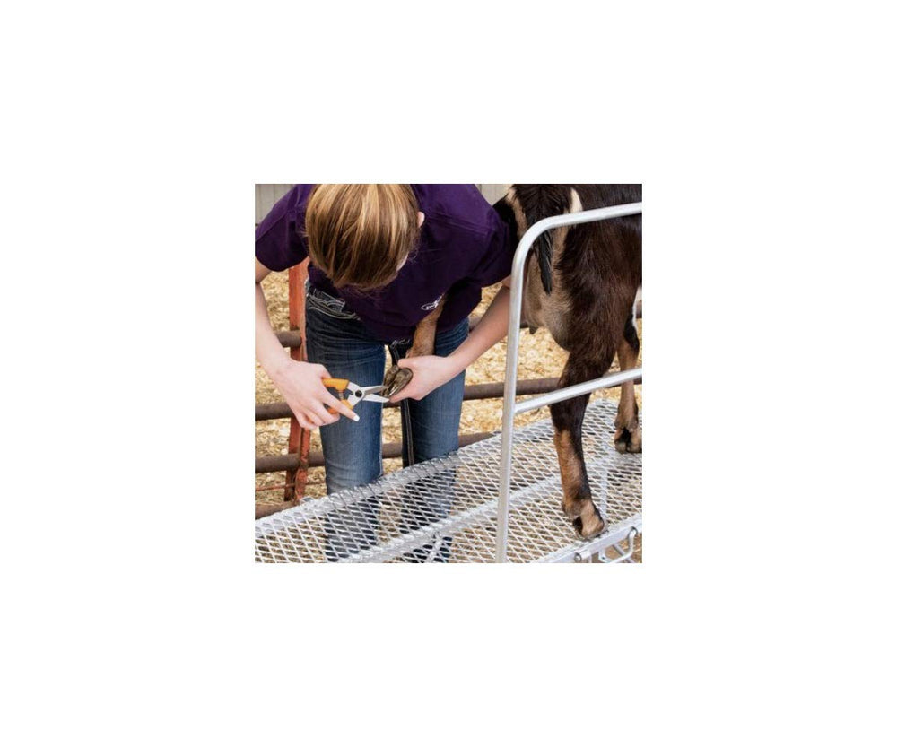 Premier 1 ExoTrim serrated blade grips hard hooves for steady cuts.
