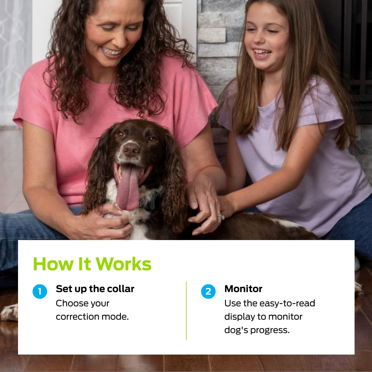 Premier Pet Bark Collar bark counter tracking barking patterns over time.