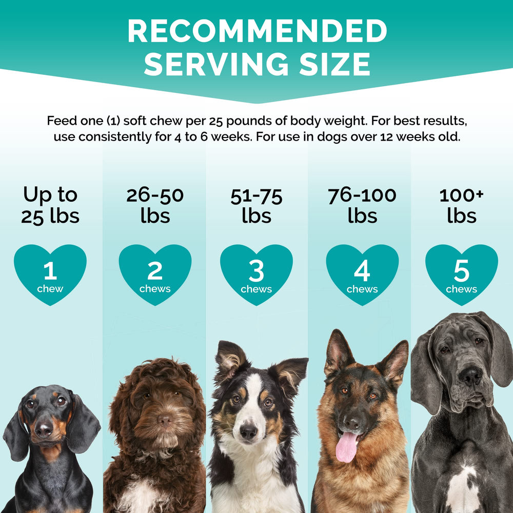 Premium Care Calming Chews storm scene hints support during loud noises