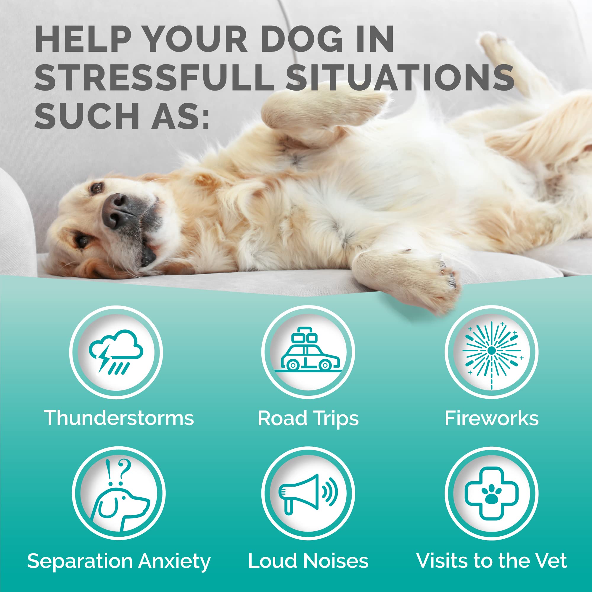 Premium Care Calming Chews USA facility label signals safe production