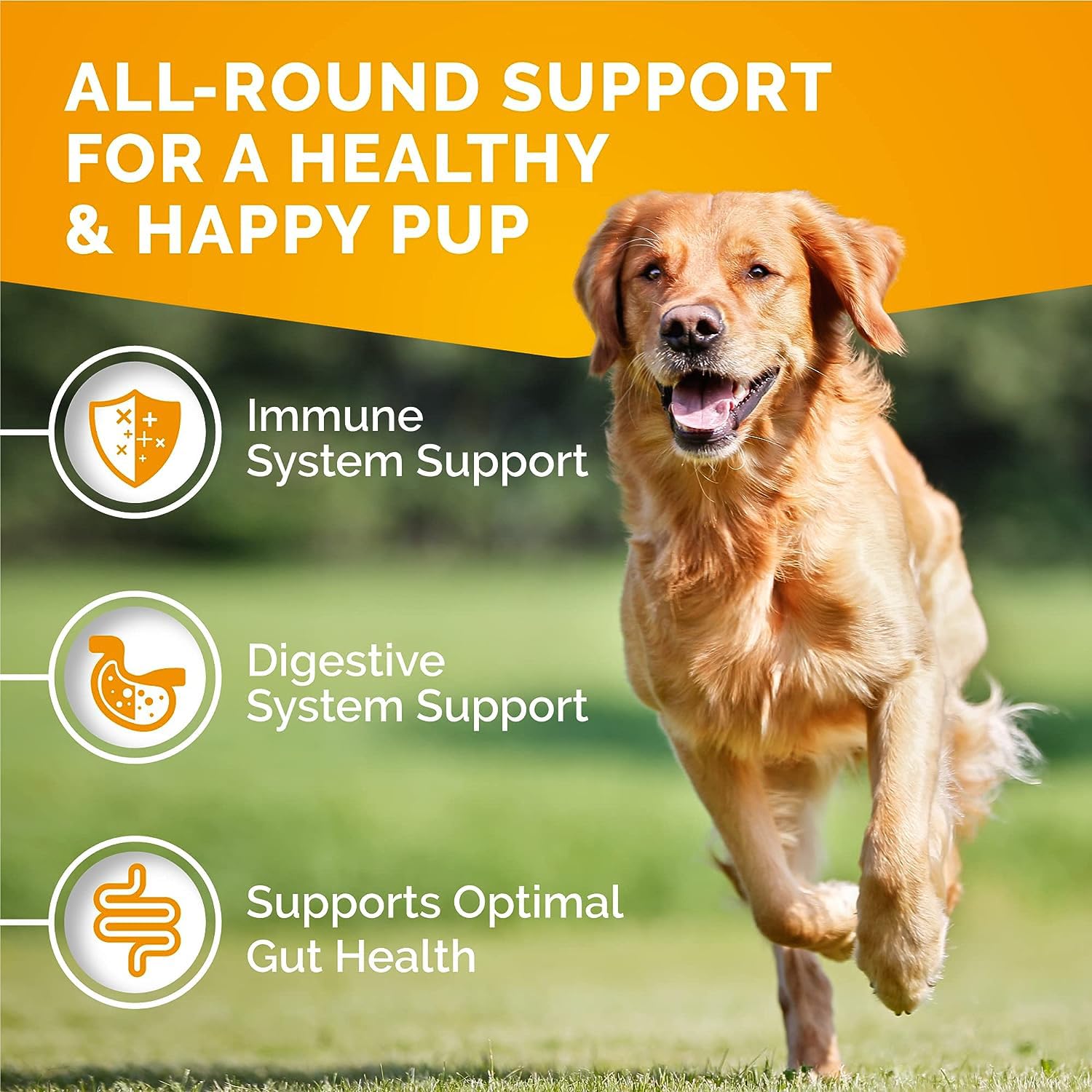Premium Care packaging highlights 120 chews and seasonal allergy support