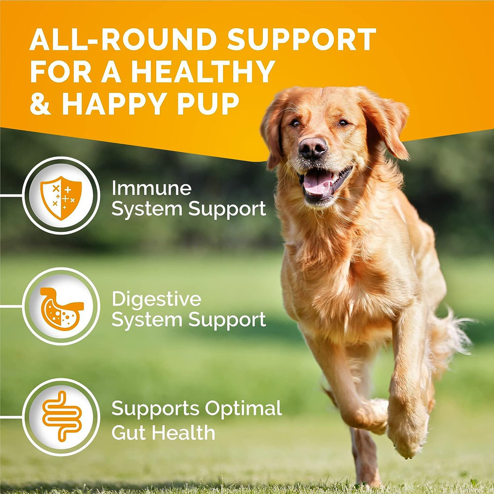 Premium Care packaging highlights 120 chews and seasonal allergy support