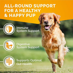 Premium Care packaging highlights 120 chews and seasonal allergy support