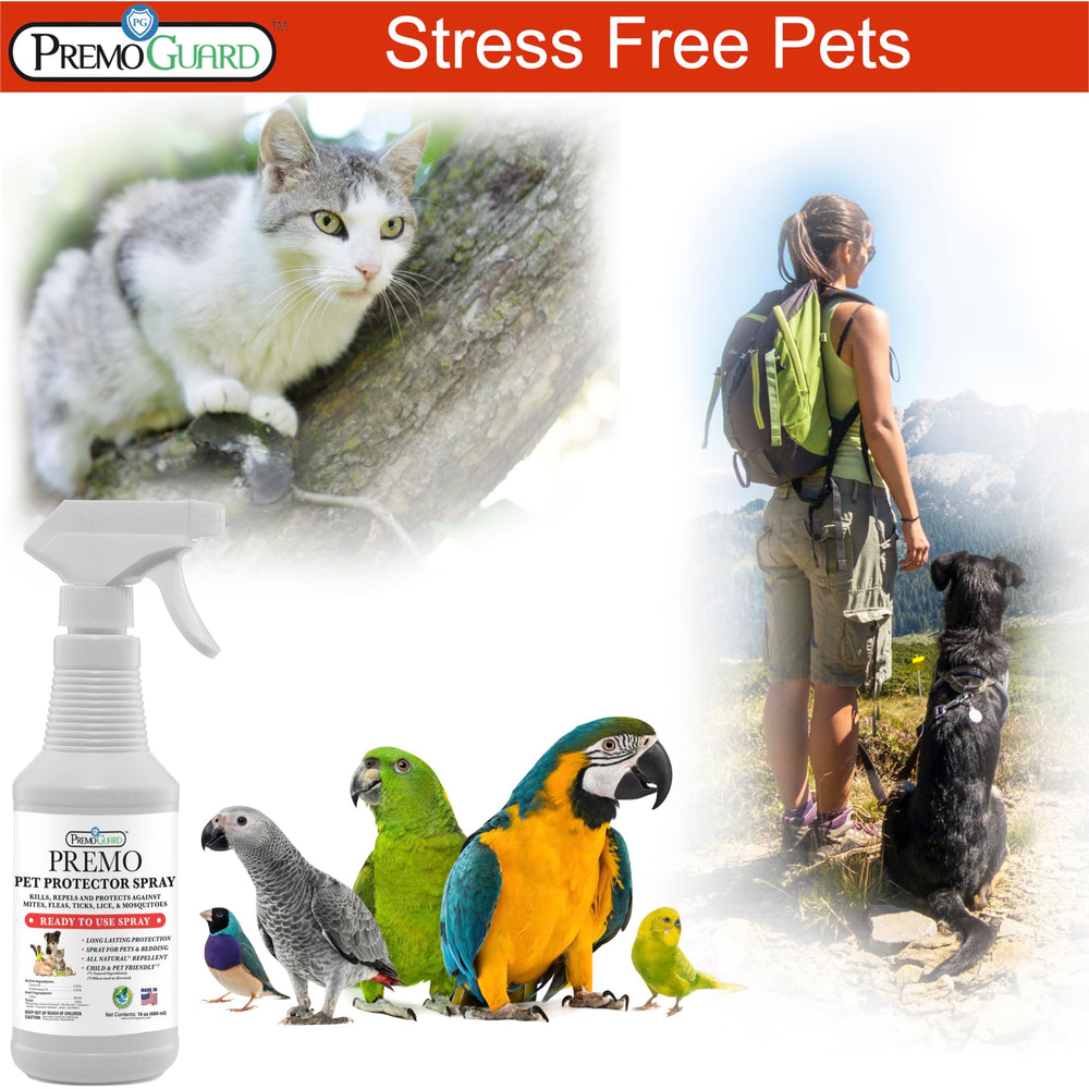 Safe for indoor and outdoor use on toys, furniture, and play areas.