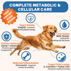 Dog happily chewing PREPAKU Lipoma chew during a routine care moment