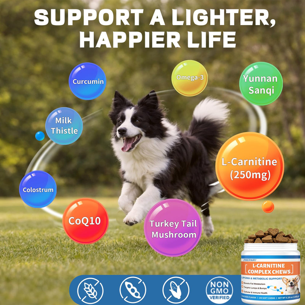 Home-packaging scene featuring PREPAKU Lipoma for convenient pet care