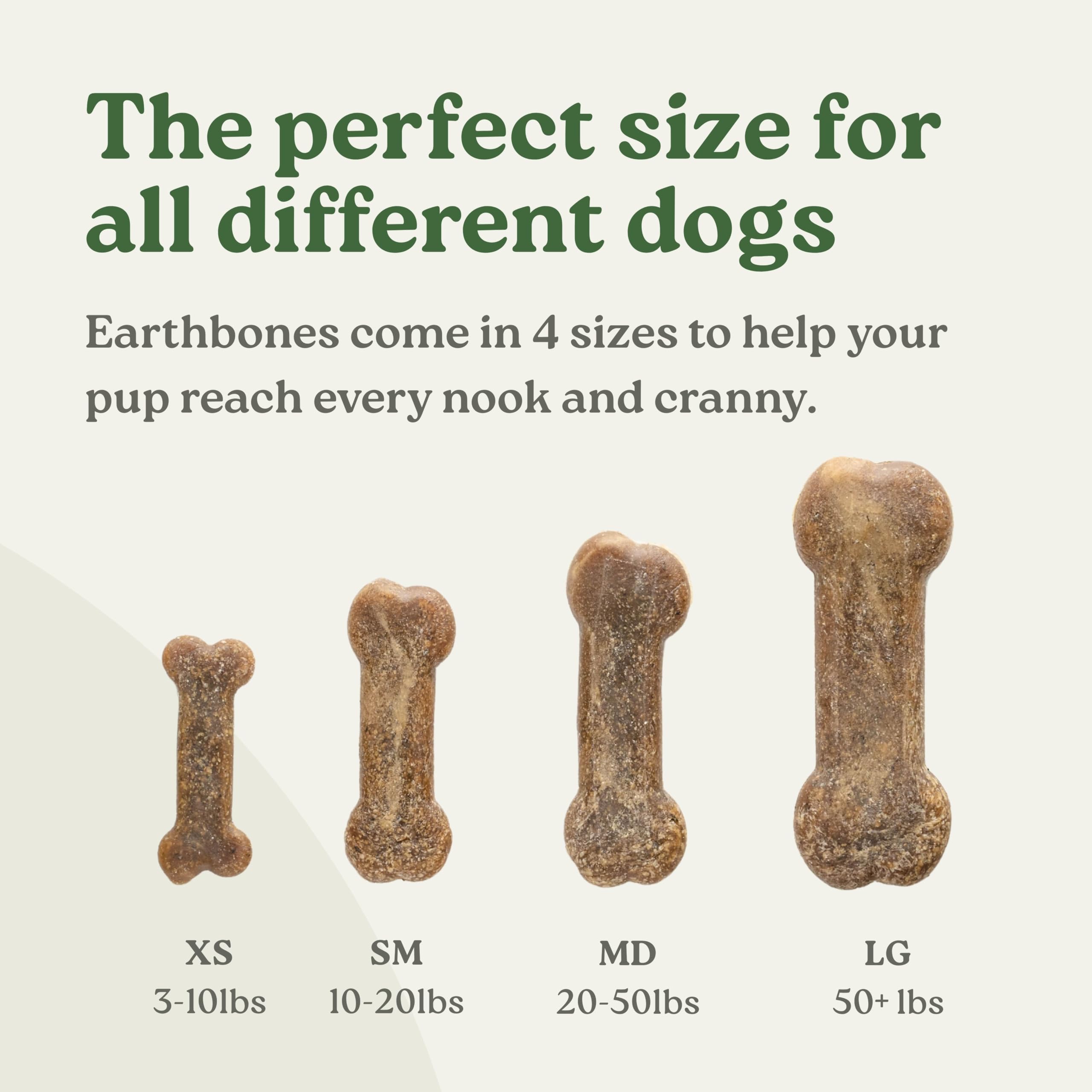 Presidio Earthbones fresh-breath scent with peppermint and parsley cues