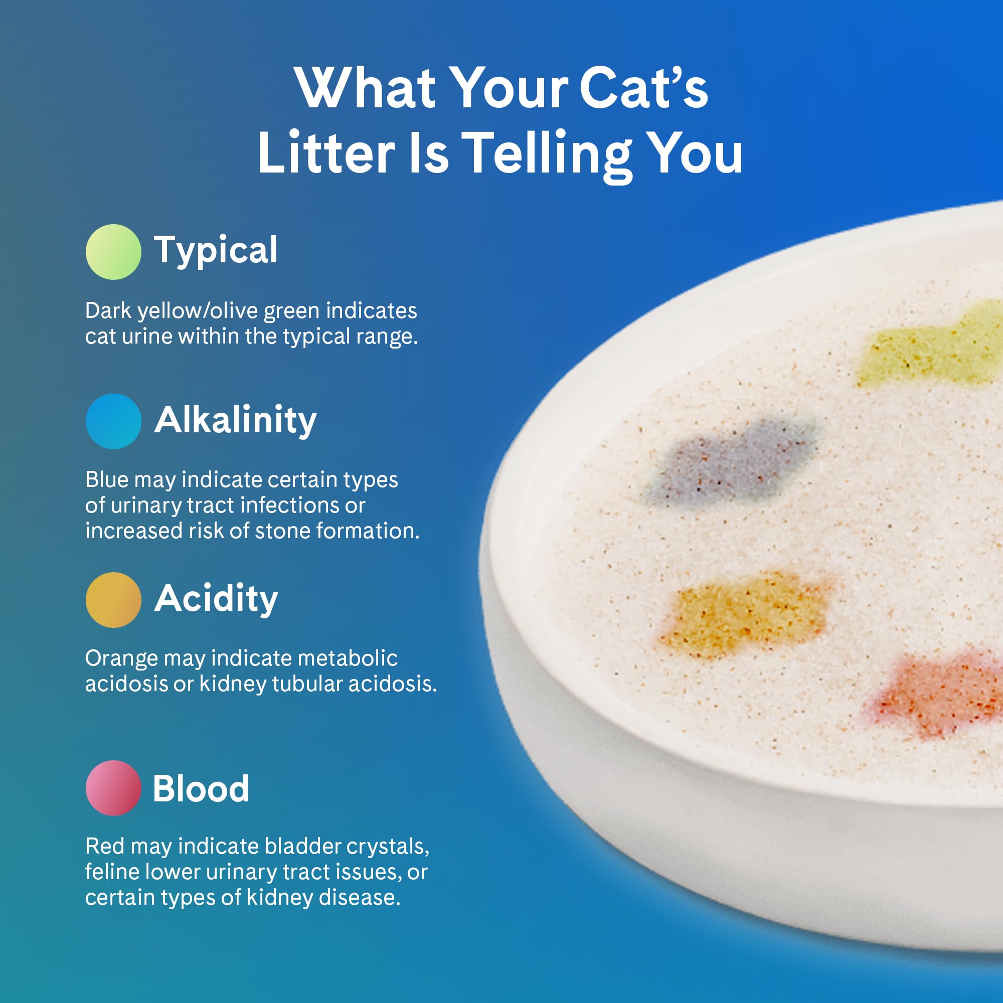 PrettyLitter works with standard and automatic litter boxes for multi-cat homes.