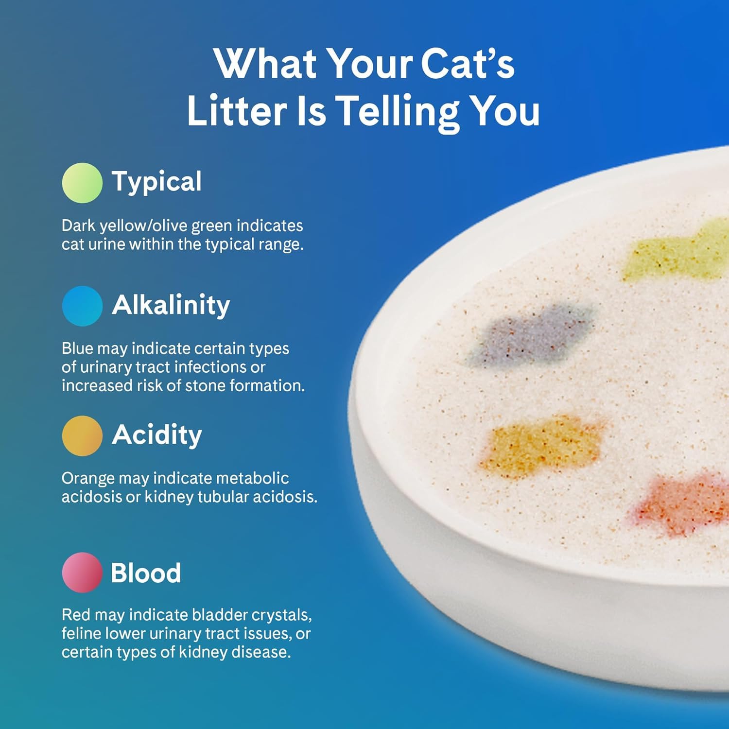 PrettyLitter works with standard and automatic litter boxes for flexible setup.