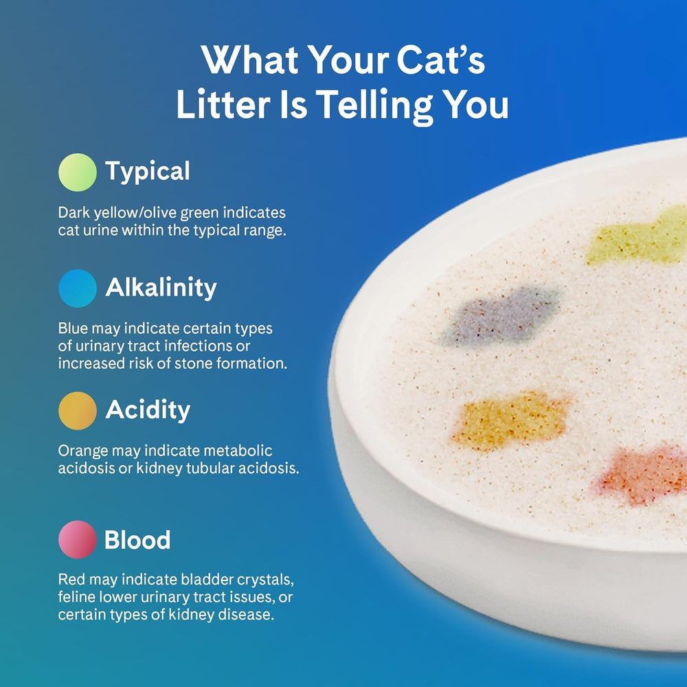 PrettyLitter works with standard and automatic litter boxes for flexible setup.