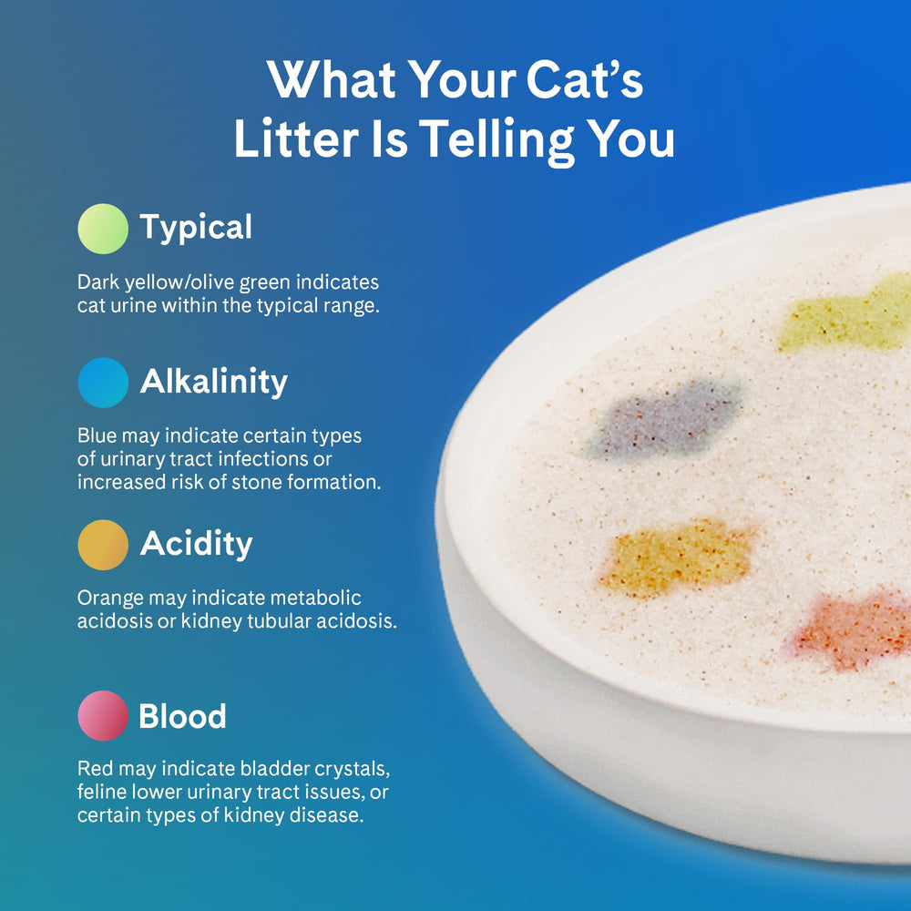 PrettyLitter works with standard and automatic litter boxes for easy setup.