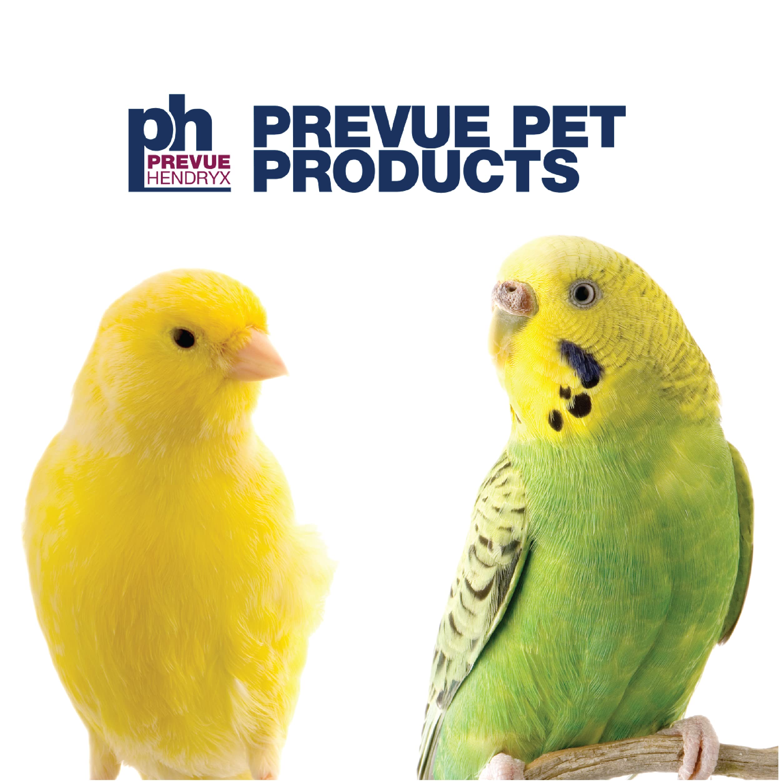 Prevue Flight Cage dimensions 30x18x18 inches for spacious exercise