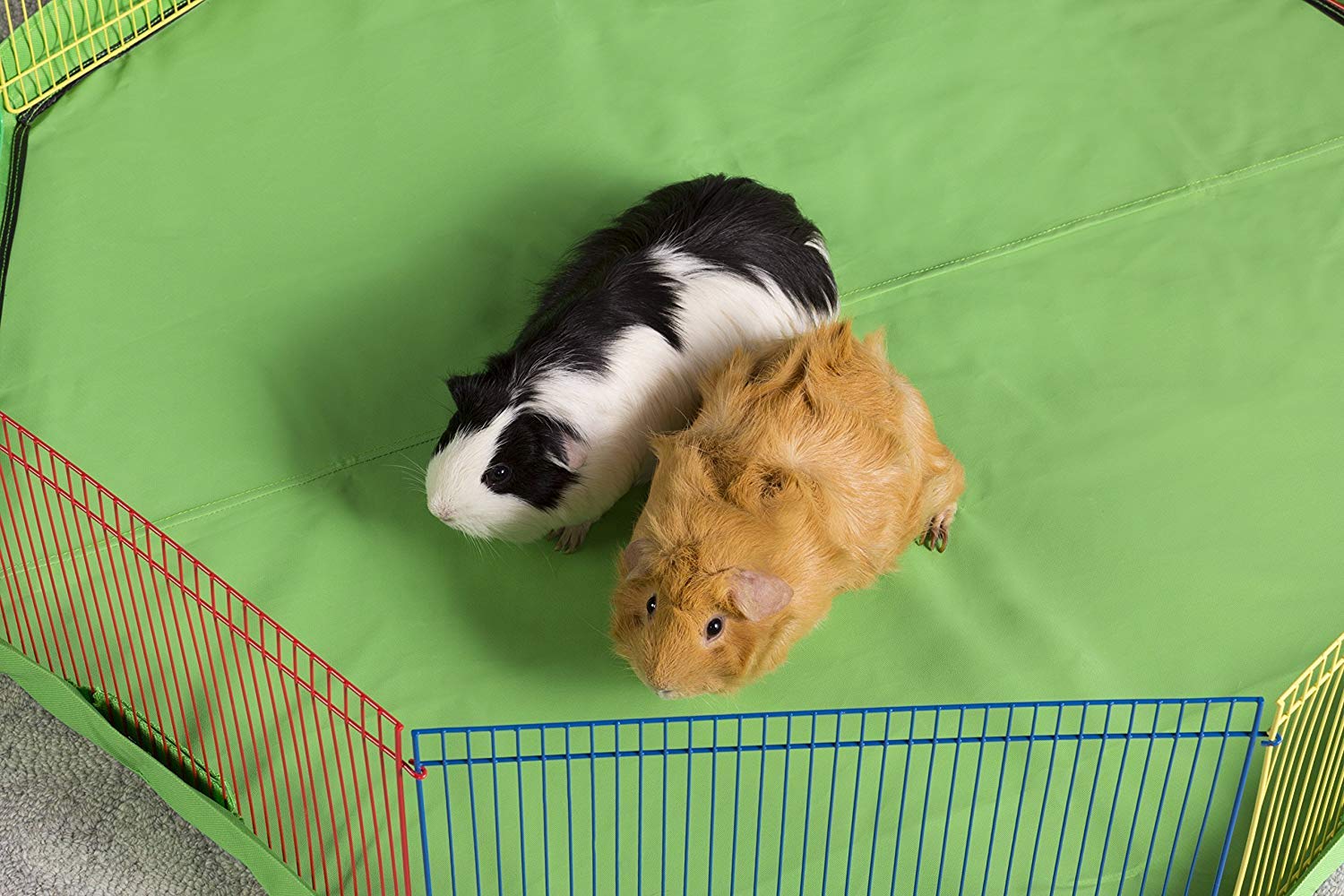 Prevue Hendryx playpen suitable for indoor and outdoor use.