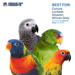 Prevue Sink 'n Seek bird-safe metal chain enables safe suspended play.