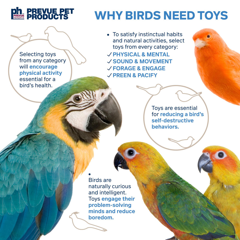 Prevue Sink 'n Seek suitable for medium to large birds, enriching daily routine.