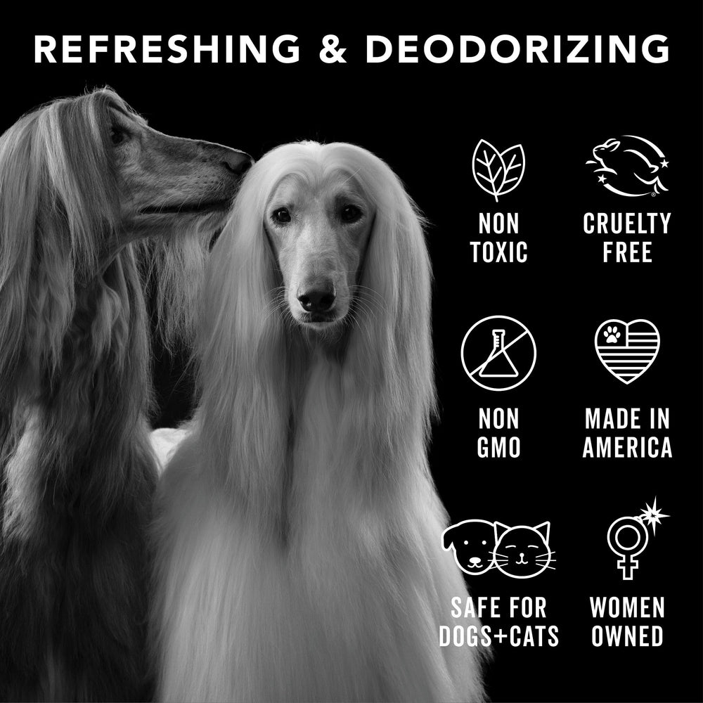 Pride and Groom coat refresh spray after a walk shows subtle deodorizing benefits.