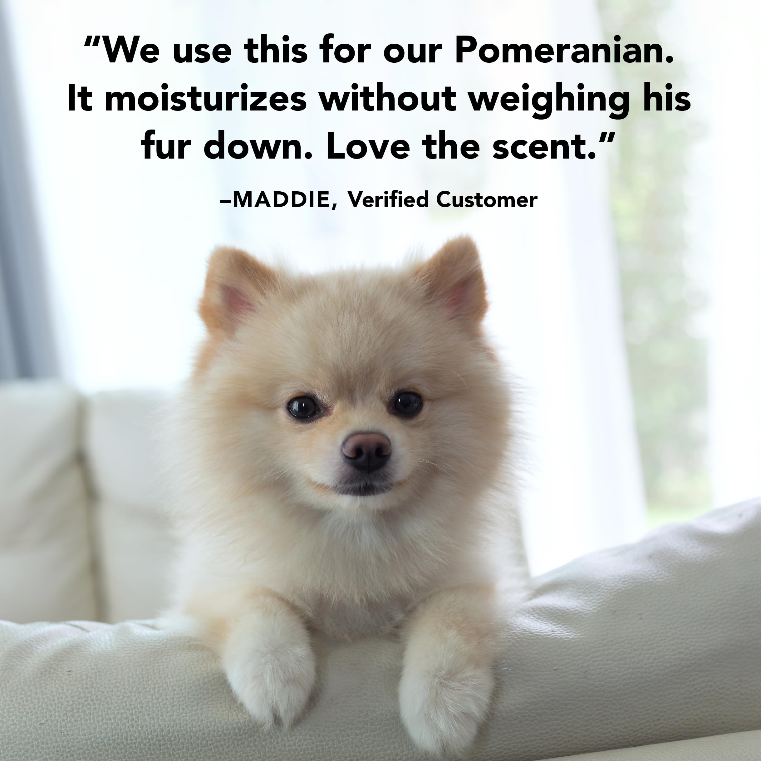 PRIDE AND GROOM Final Coat Conditioner routine image suggests spa-like care for dogs.
