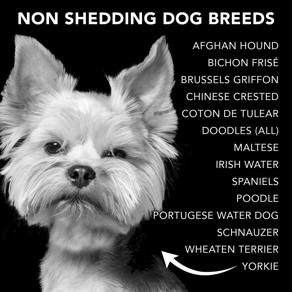 PRIDE AND GROOM finished-coat-shine: healthier-looking, manageable coat.