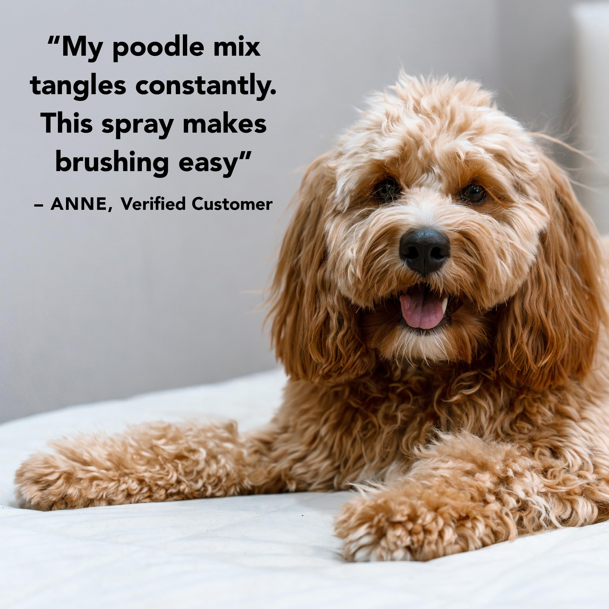 Pride and Groom Leave In suitable for long, short, curly, or straight coats.