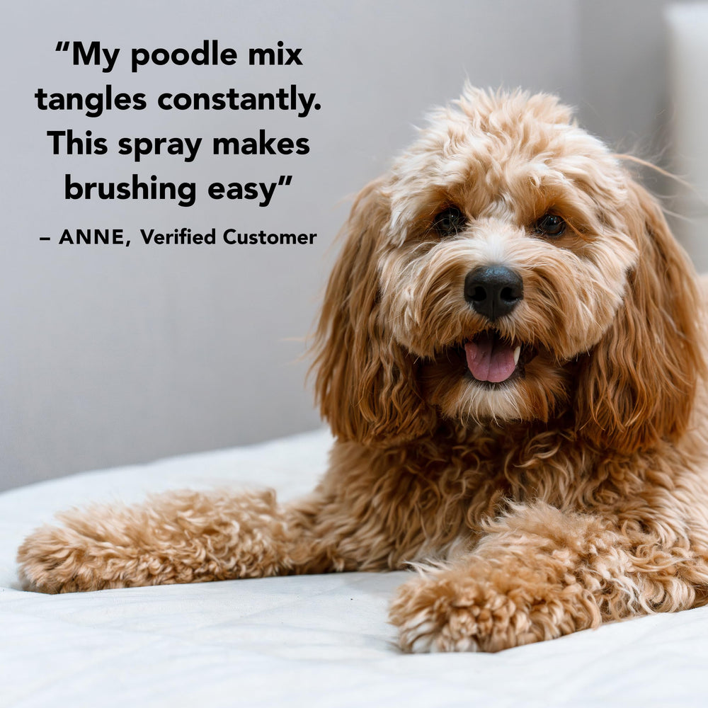 Pride and Groom Leave In suitable for long, short, curly, or straight coats.