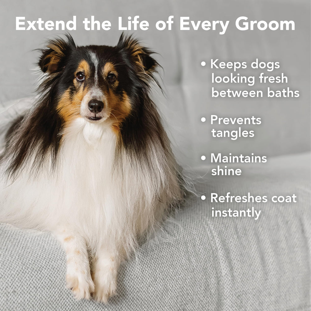 Pride and Groom Leave In USA-made bottle with clean ingredients.