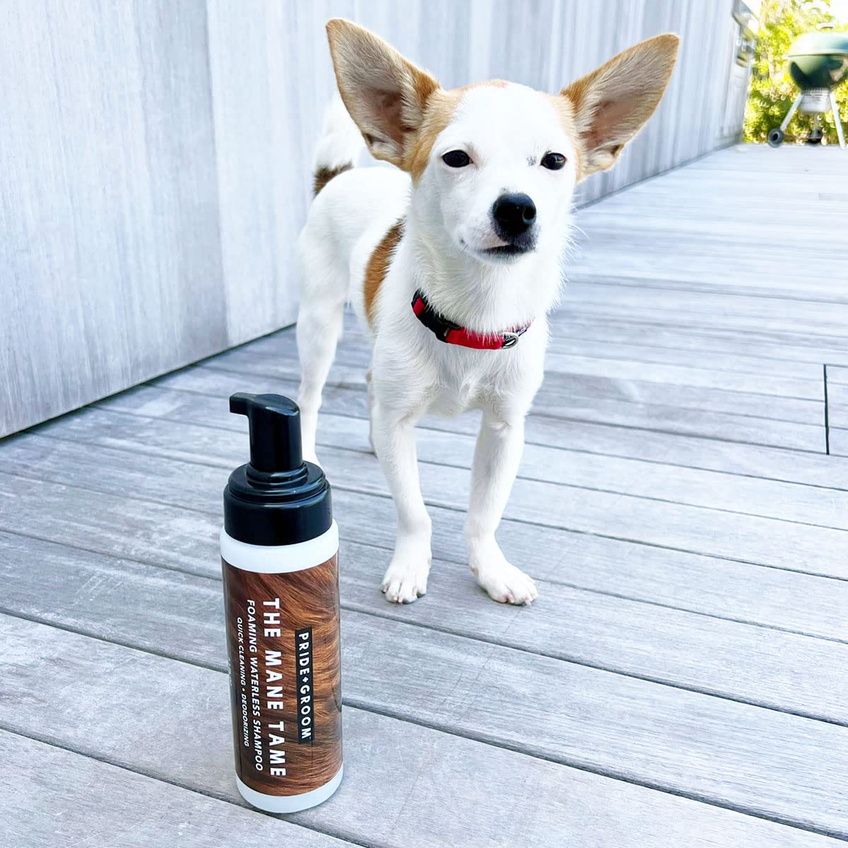 PRIDE AND GROOM Mane Tame foam application for easy coat refresh.