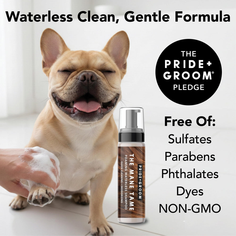 PRIDE AND GROOM Mane Tame rinse-free cleanse for dogs and cats between baths.