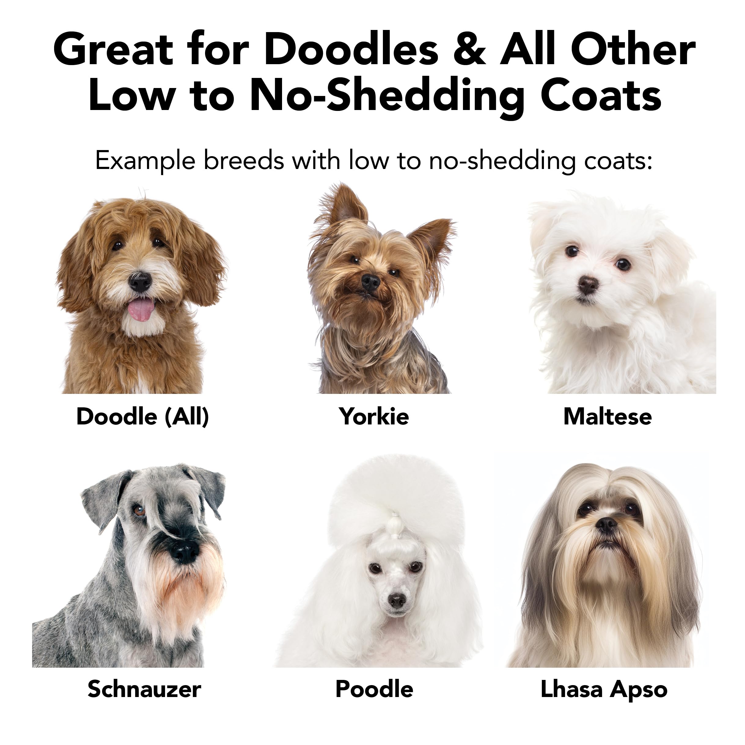 Pride and Groom Non Shedder with lavender aroma for pleasant bath time.