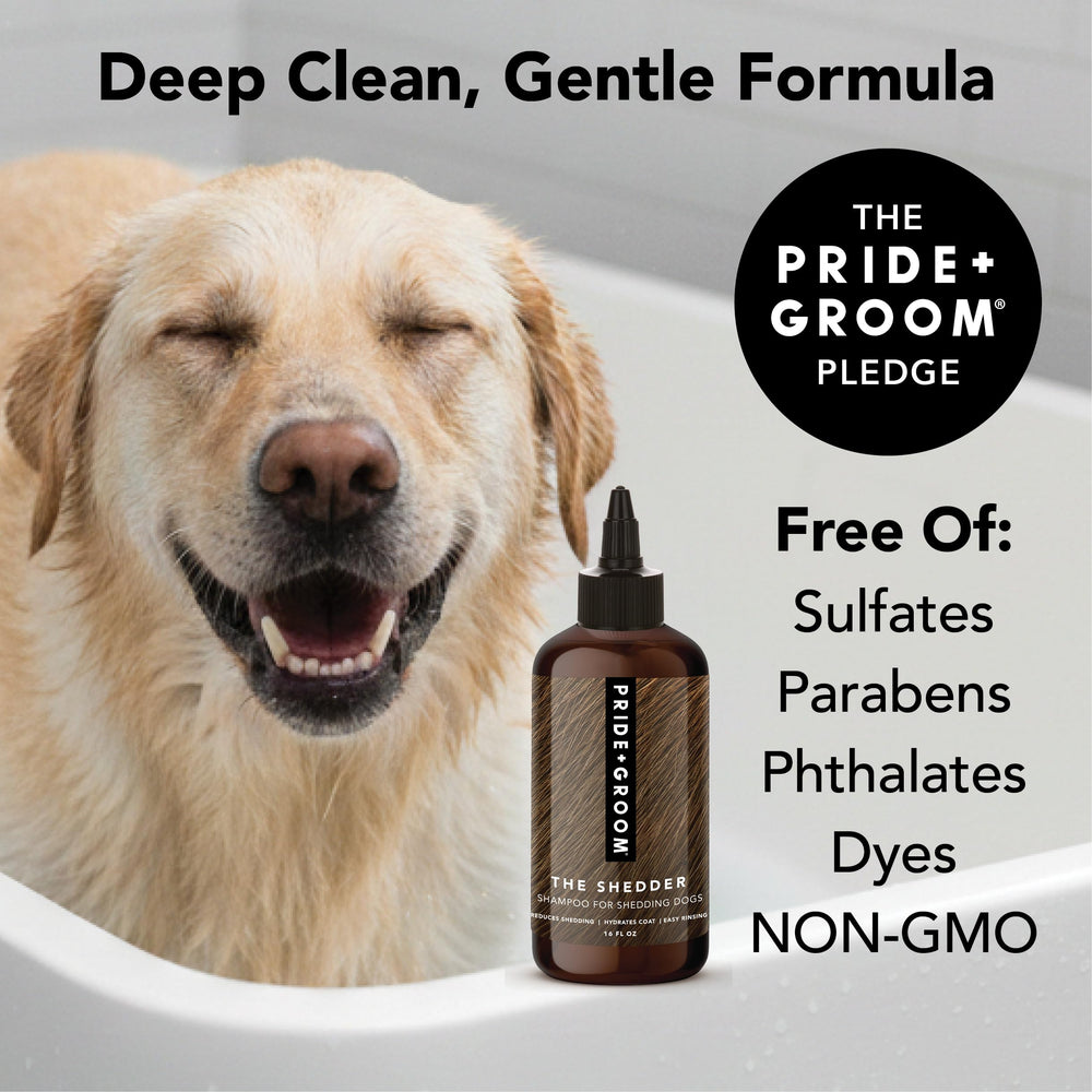 Coconut and avocado oils in The Shedder cleanse with a gentle touch for dogs.